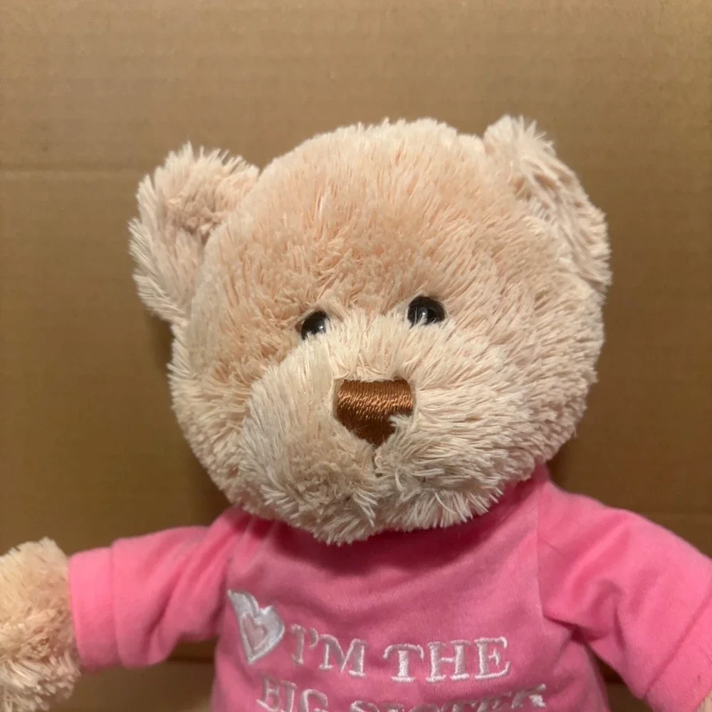Gund I'm The Big Sister Teddy Bear Plush Stuffed Animal‎ Toy Gift Pink Shirt